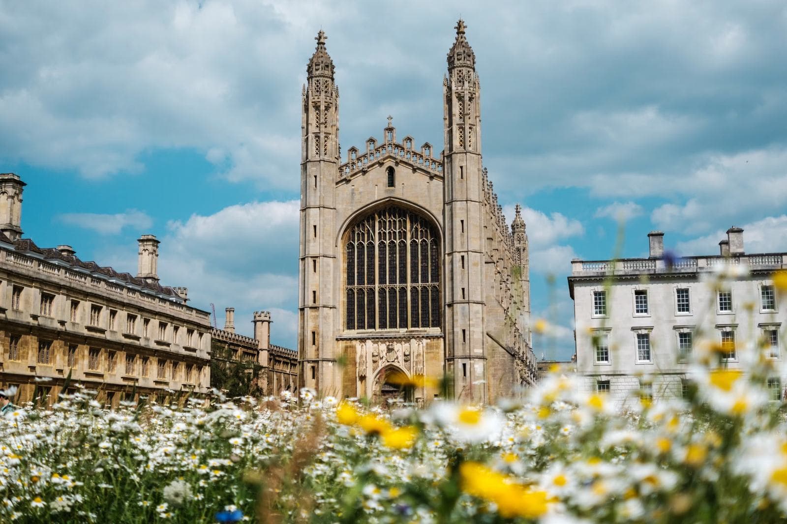 King's College şapeli, ön planda papatyalar — Cambridge